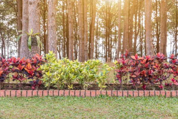 Small Garden Landscaping in Bradenton