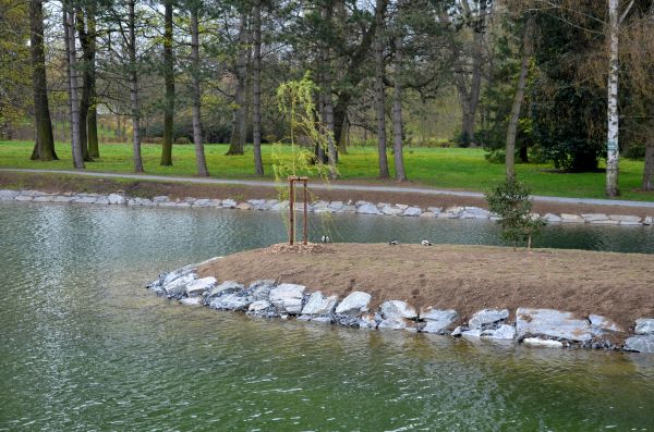 Pond Landscaping Service in Bradenton