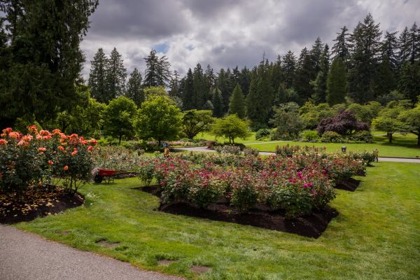 Flower Garden Landscaping in Bradenton