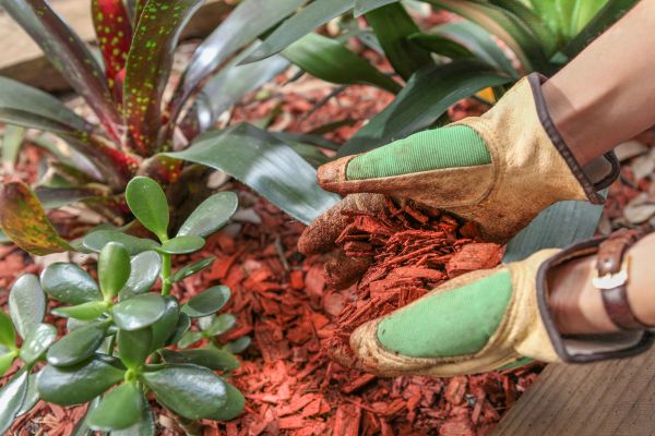 Residential Mulching in Bradenton