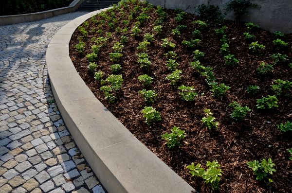Commercial Mulching in Bradenton